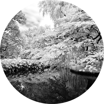 Stille wateren.... van Johannes Schotanus