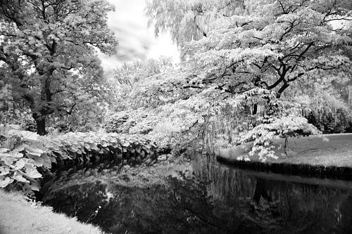 Stille wateren....