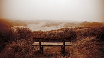 Bankje in herfstduinen van Noordwijk van Yanuschka Fotografie | Noordwijk