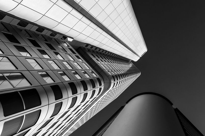 Silverling by Friedhelm Peters