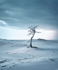 Aesthetic minimalism
