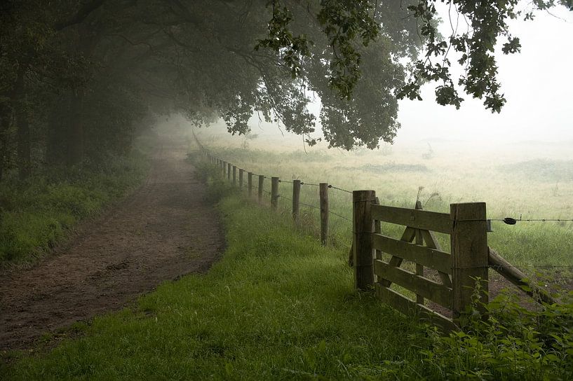 The fence. by René Jonkhout