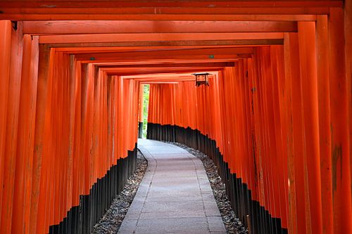Pfad durch die Torii-Tore - Fushimi Inari Kyoto