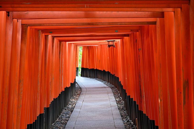 Chemin à travers les portes Torii - Fushimi Inari Kyoto par Matthias Hauser