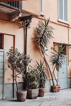 Leven op de patio | Milaan Italië van Mitchel Lensink