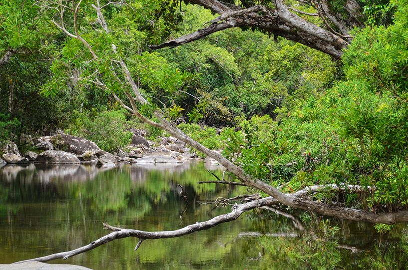 rustig beekje par Chris & Annelies de Waal