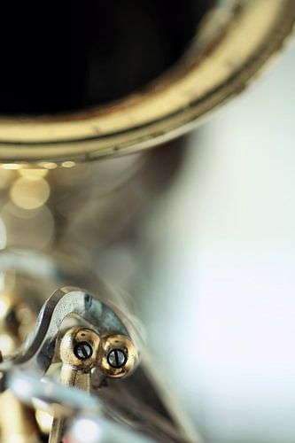 Careless whisper... (muziek, muziekinstrument, saxofoon)