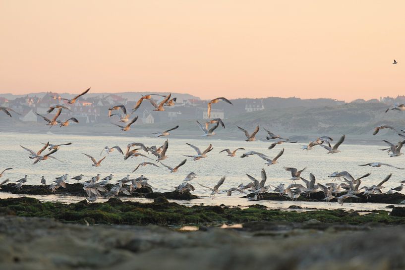 Meeuwen on the beach! von Wendy Bremmert