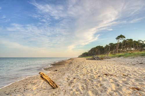 Ein Morgen am Darßer Weststrand