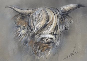 Digital artwork - Scottish highlander full colour artwork