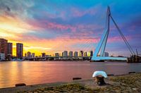 Erasmusbrug tijdens zonsondergang