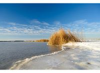 Verschneites Grevelingenmeer