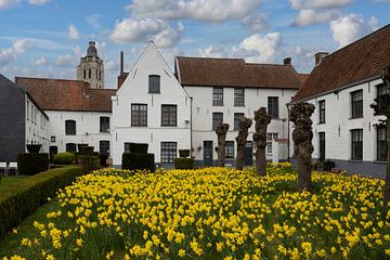 Oudenaarde Begijnhof in de lente van Imladris Images