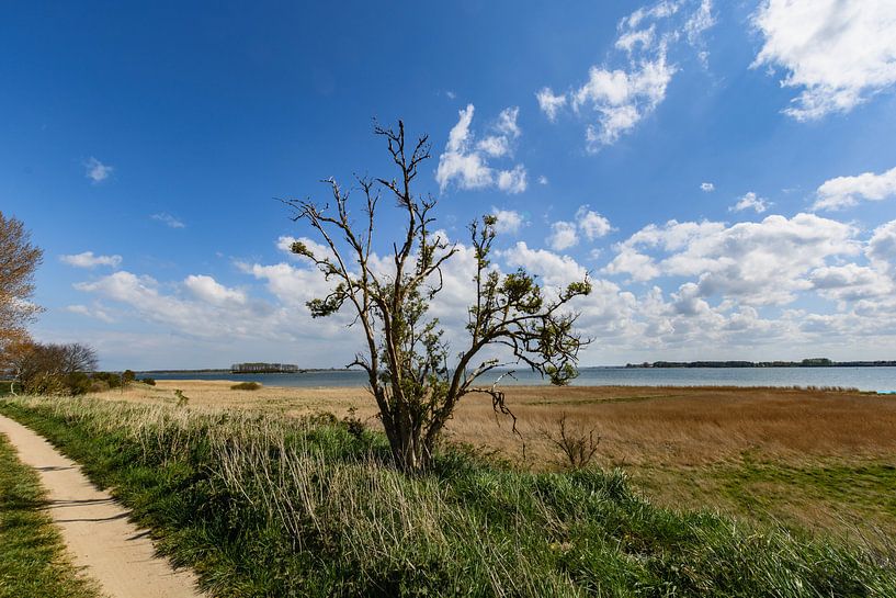 Le long de la côte près de Glutzow, île de Rügen par GH Foto & Artdesign