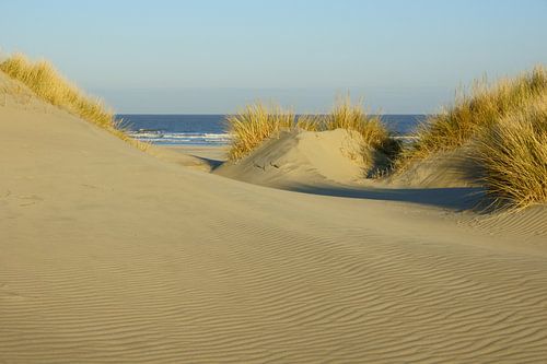 Strand en Duinen