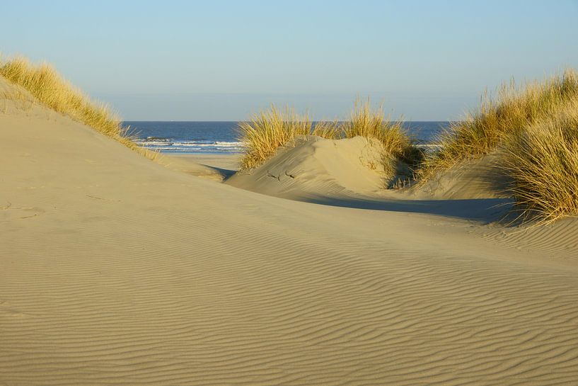 Strand en Duinen von Michel van Kooten
