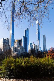 New York: Central Park von Shaquille Maarschalkerweerd