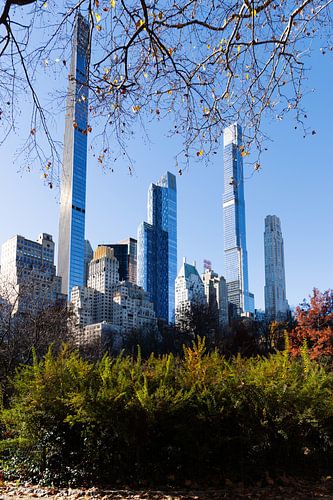 New York: Central Park