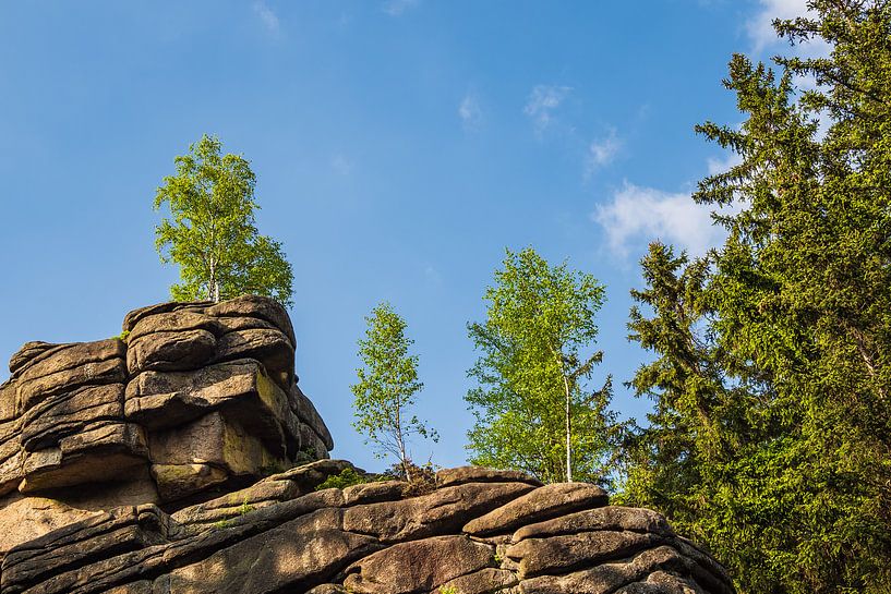 Landschaft mit Bäumen und Felsen im Harz van Rico Ködder