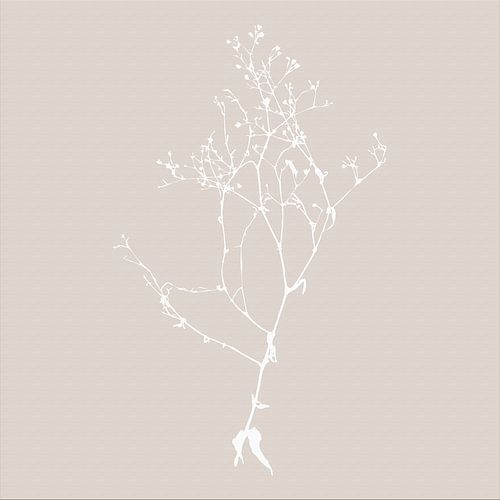Botanica Delicata. Abstracte Retro Botanical in beige