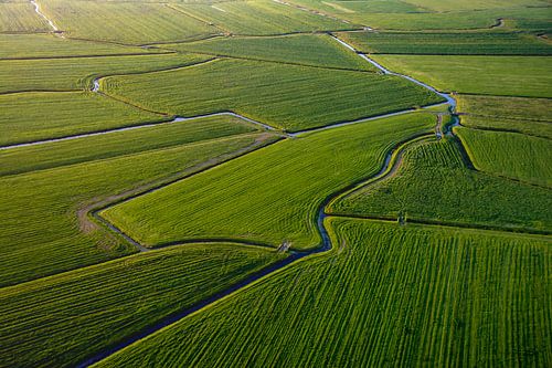 groene lappendeken van grasland vanuit luchtballon