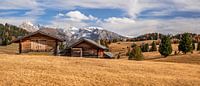 Herbst auf der Seiser Alm von Achim Thomae Miniaturansicht