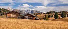 Autumn on the Seiser Alm by Achim Thomae Photography