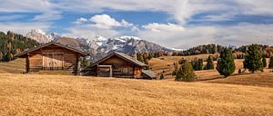 Herbst auf der Seiser Alm