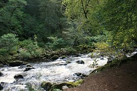 The Hermitage, Dunkeld, Scotland 2 by Floortje Mink