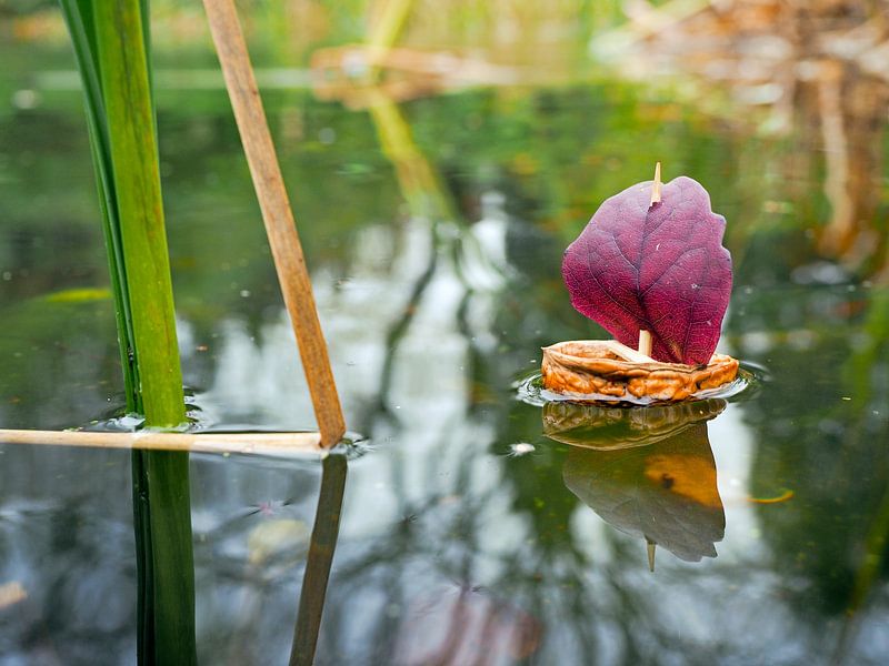 paddle by Vera Zuur