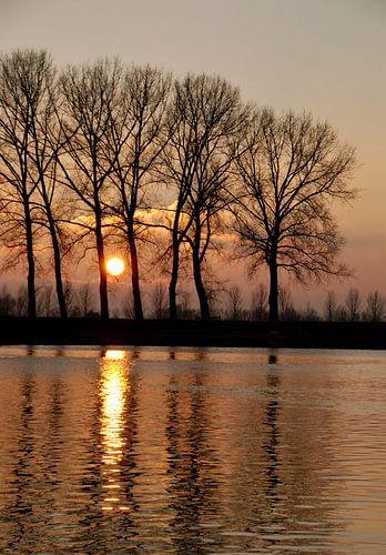 Magnifique coucher de soleil sur le Bas-Rhin près du ferry à Elst