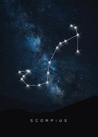 Scorpio: The Celestial Warrior by Himler Razan