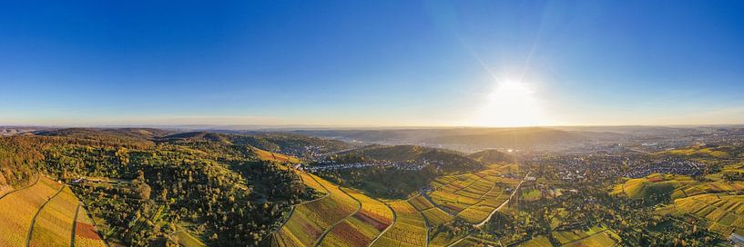 Aerial photography panorama vineyards Stuttgart by Werner Dieterich