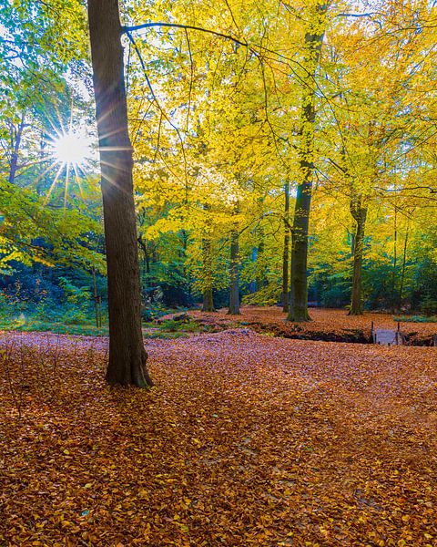Herbst auf dem Landgut Braak von Henk Meijer Photography