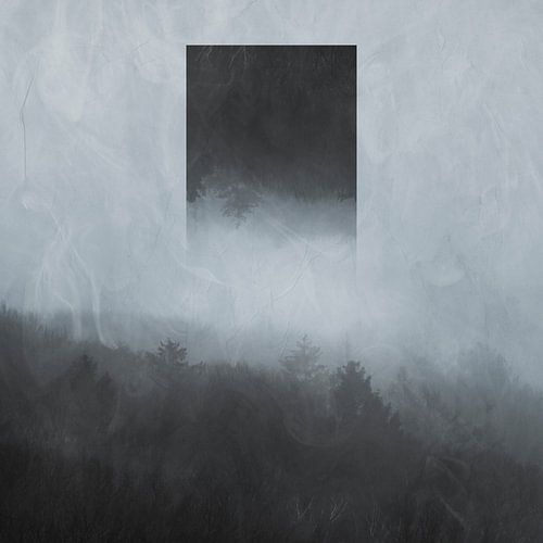 Geometrische reflectie - Wolkenwoud in de ochtend