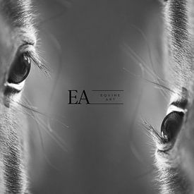 Equine Art photo de profil