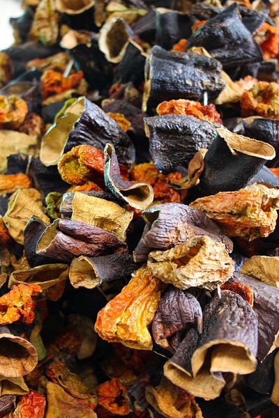 légumes déshydratés par Marieke Funke