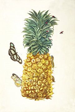 Prent van een ananas