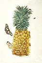 Prent van een ananas van Vintage en botanische Prenten thumbnail