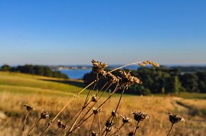 Groß Zicker -  Blick zum Klein Zicker