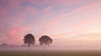 Pink morning atmosphere