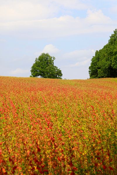 Malerisch von Thomas Jäger