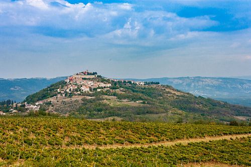 Motovun tussen de wijngaarden