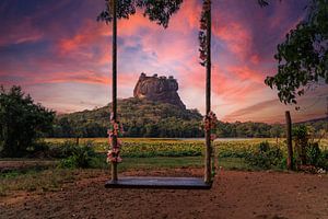 Sonnenuntergang in Negombo, an der Westküste Sri Lankas in der Nähe der Hauptstadt Colombo gelegen