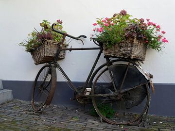 Vélo-fleur sur Odette Kleeblatt