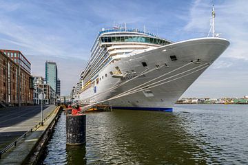 Kreuzfahrtschiff im Hafen von Amsterdam. von Don Fonzarelli