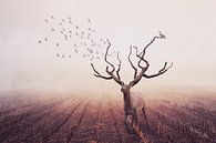 Surrealistic Photo Manipulation of Deer with Tree Antlers - for Nature and Art Lovers by Elianne van Turennout thumbnail