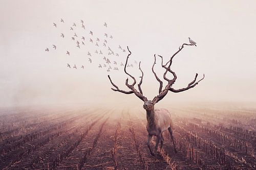 Surrealistische Fotomanipulatie van Hert met Boomgewei - voor Natuur en Kunstliefhebbers