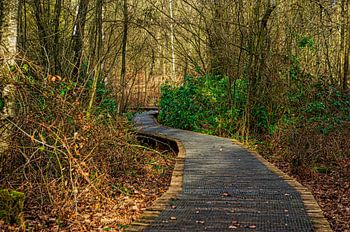 T Groenewoud Swalmen