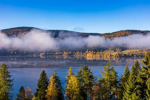 Herfst aan de Schluchsee in het Zwarte Woud